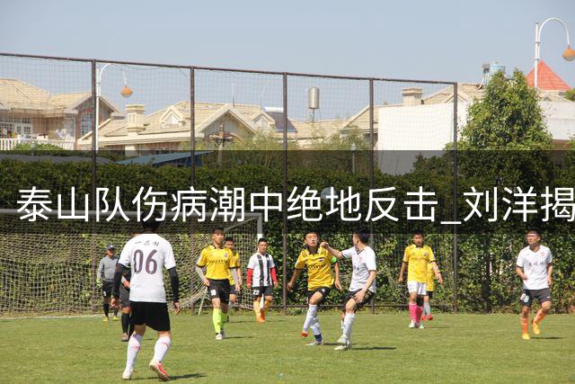 泰山队伤病潮中绝地反击 刘洋揭秘更衣室呐喊的震撼一刻