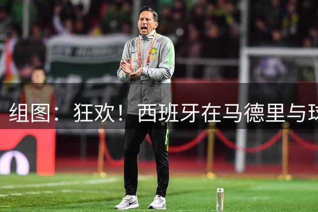 组图：狂欢！西班牙在马德里与球迷庆祝夺冠