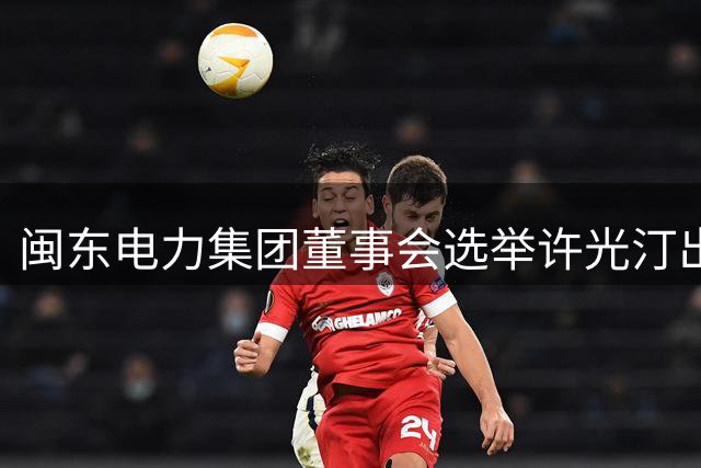 闽东电力集团董事会选举许光汀出任董事长